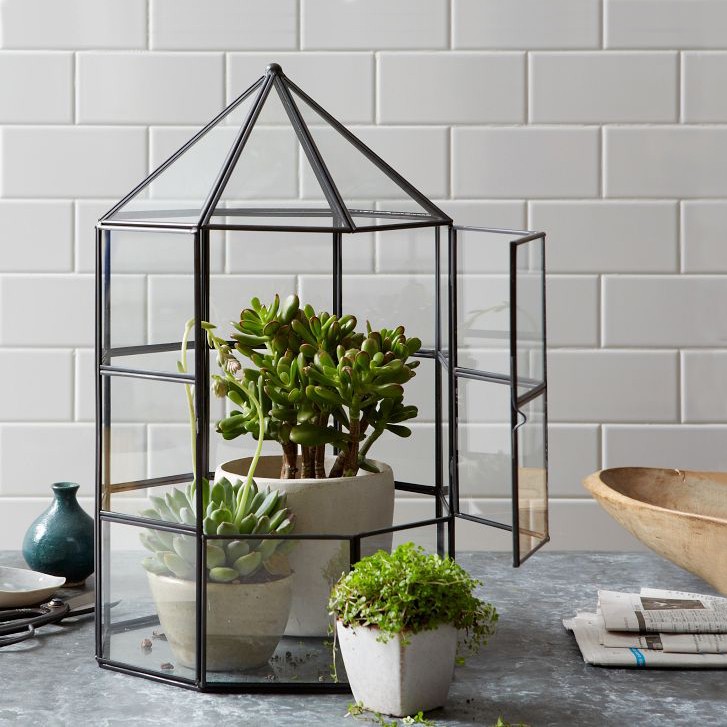 woonhome-wardian-cases-terrarium-planten-binnen-interieur