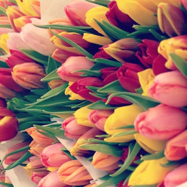 woonhome-bloemen-tulpen-geel-oranje-rood-roze