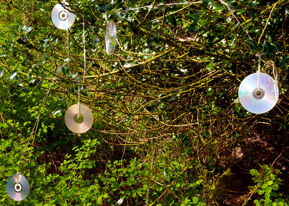 woonhome-cd-in-bomen-struiken-hangen-vogelverschrikker-vogels-afschrikken-verjagen