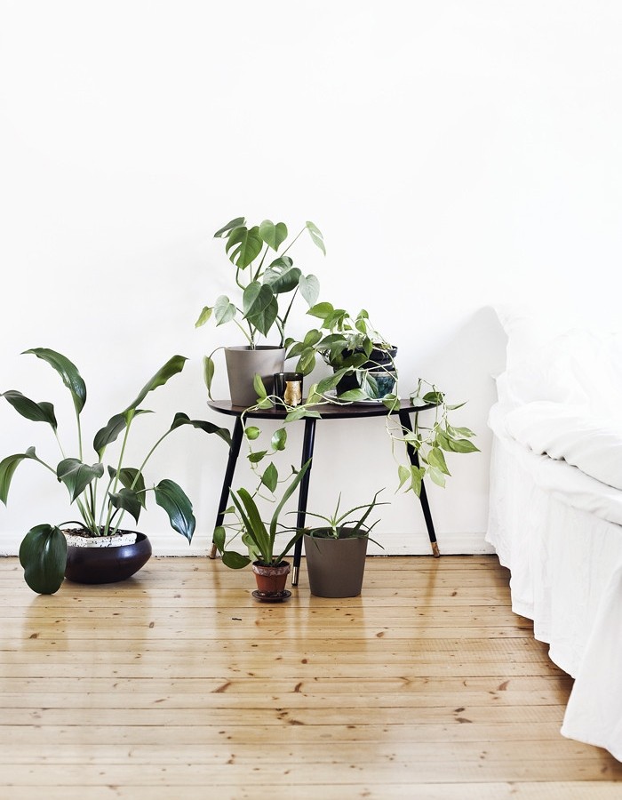 woonhome-planten-op-de-slaapkamer-groen