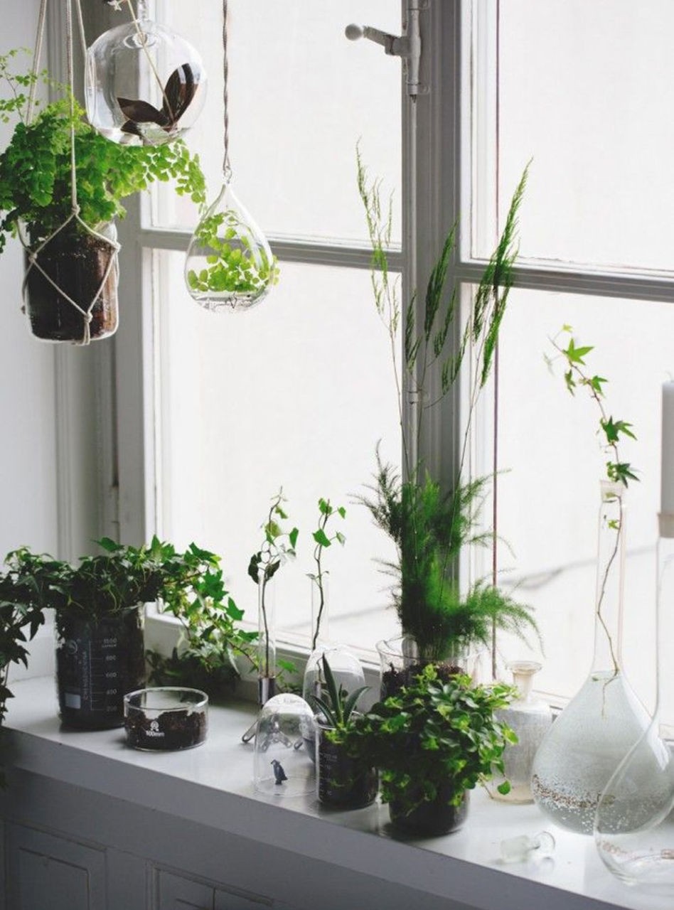 woonhome-planten-vensterbank-botanical-home-planten