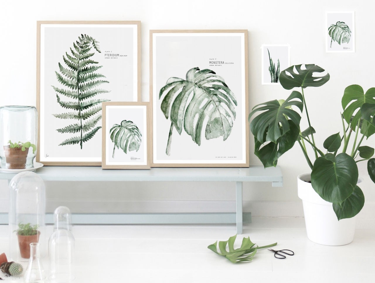 woonhome-woontrend-trend-2015-botanical-home-hometrend-modern-plant-lijstjes-frames