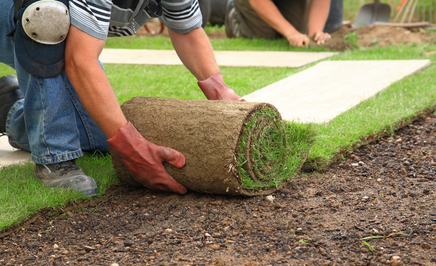 woonhome-graszoden-laten-aanleggen-gras-gazon