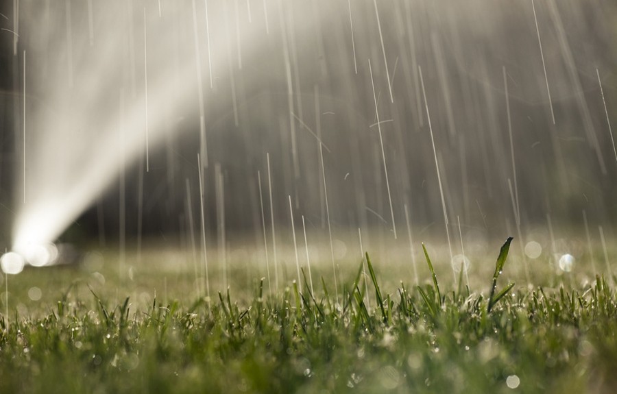 woonhome-de-beste-tijd-om-gras-gaszode-grasmat-grasveld-te-besproeien