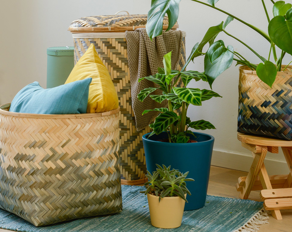 Kleur in huis is weer helemaal trendy en past uitstekend bij je groene planten. Ga voor de kleuren fel geel of cool blauw.