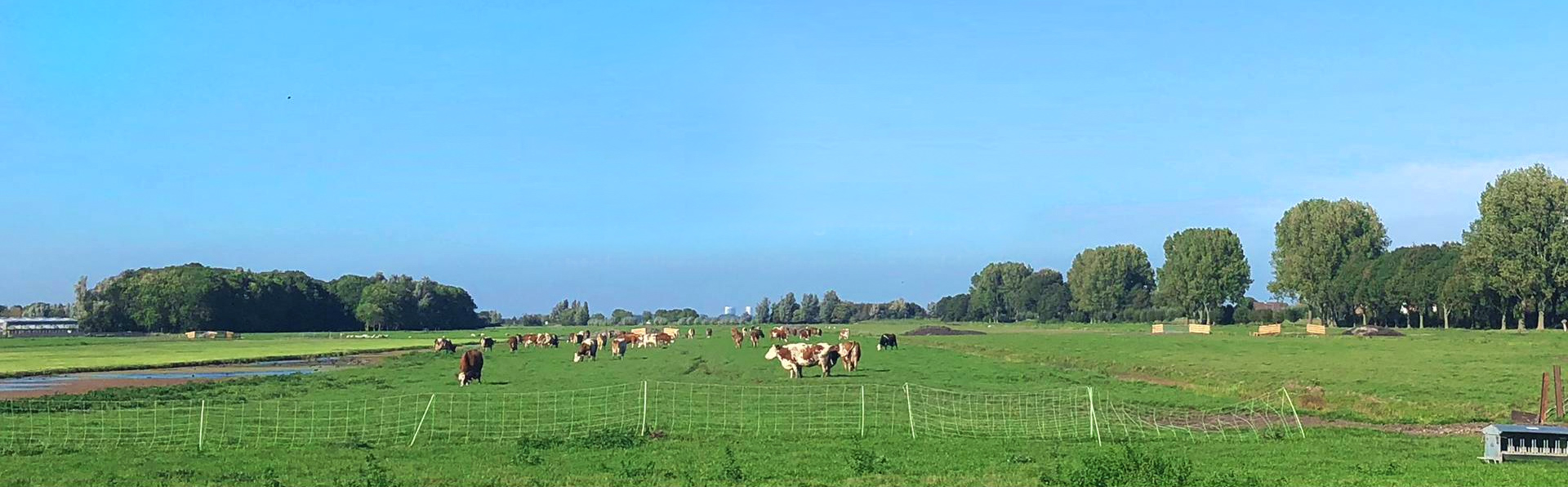 Boxsprings uit de Hollandse polder op maat gemaakt.