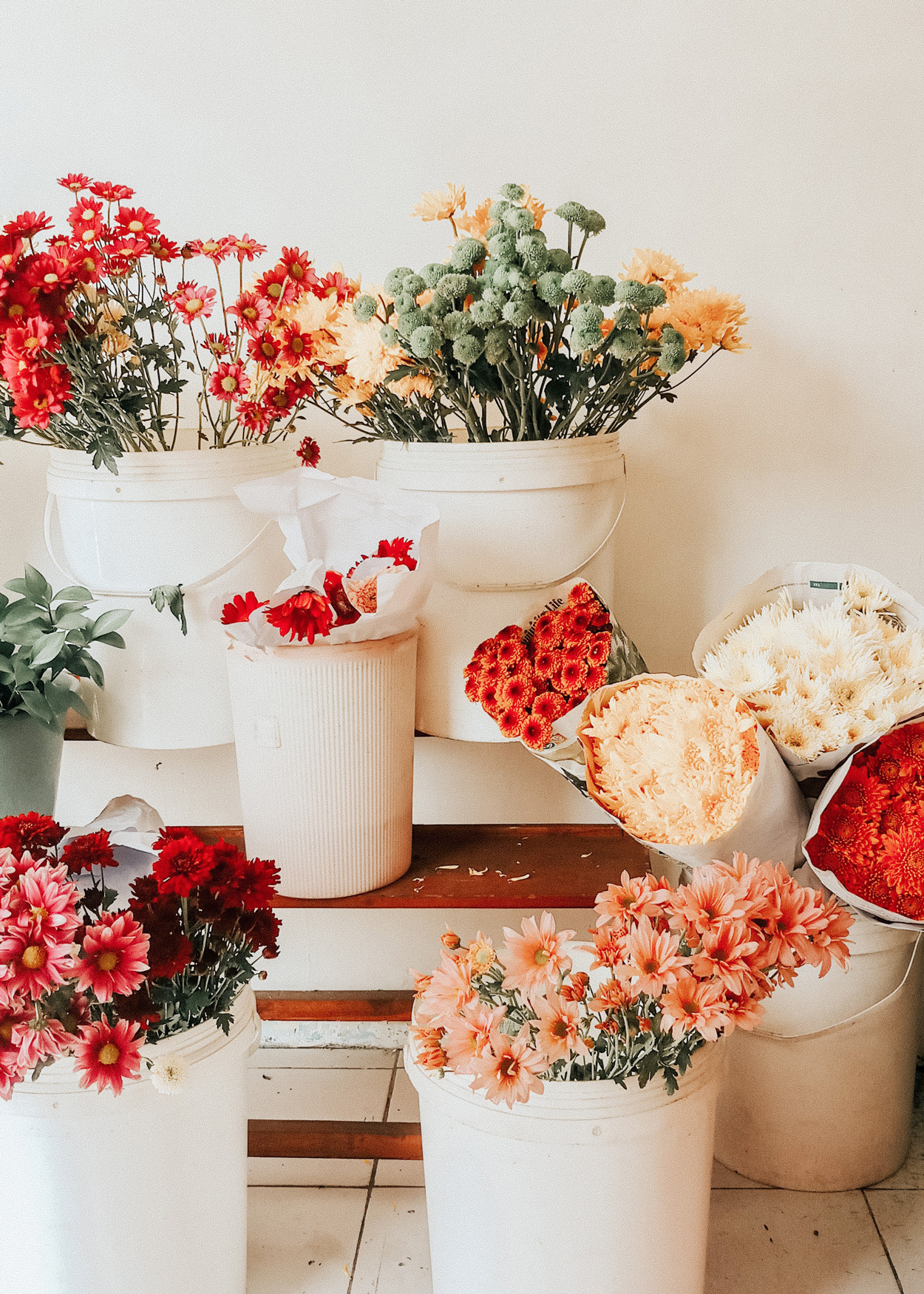 Kies in het najaar bloemen met warme kleuren zoals oranje en rood. 