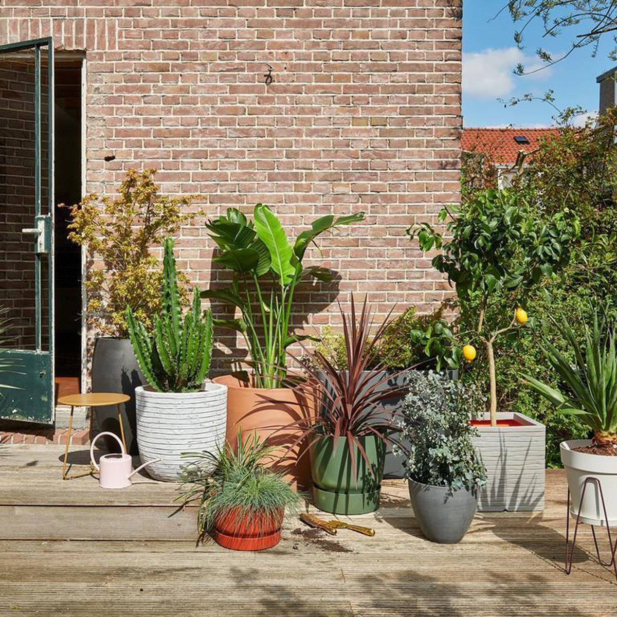 Groen, grijs en oranje: mix en match allerlei bloempotten en plantenbakken in de tuin.