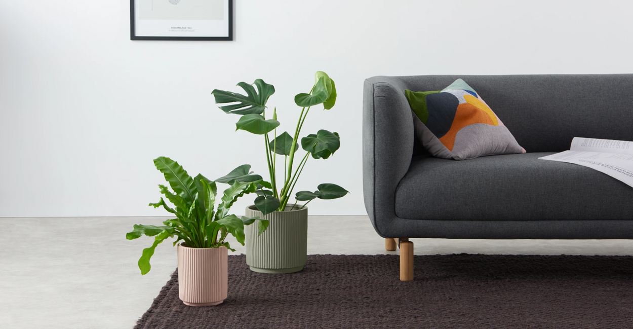 Set van potten om grote planten te laten shinen in huis.