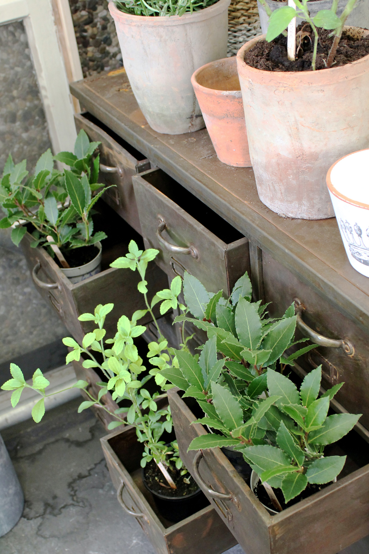 Een oude ladekast in de tuin biedt zowel opbergruimte voor tuingereedschap als voor planten.