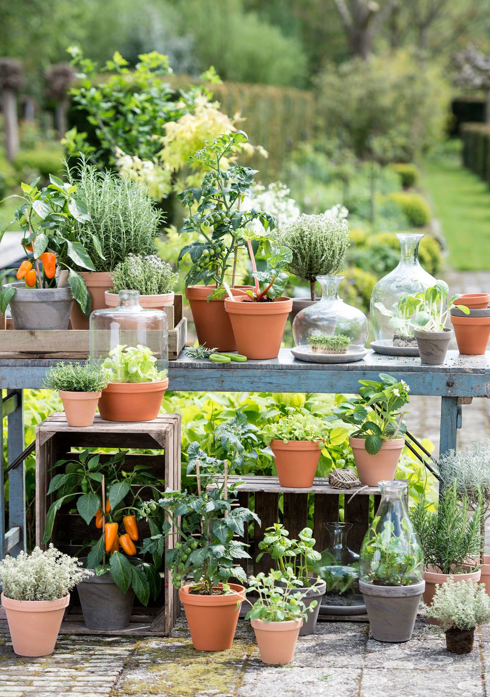 Een vintage tafel, oude kratjes en terracotta potjes zorgen voor een aangename blende in de tuin.