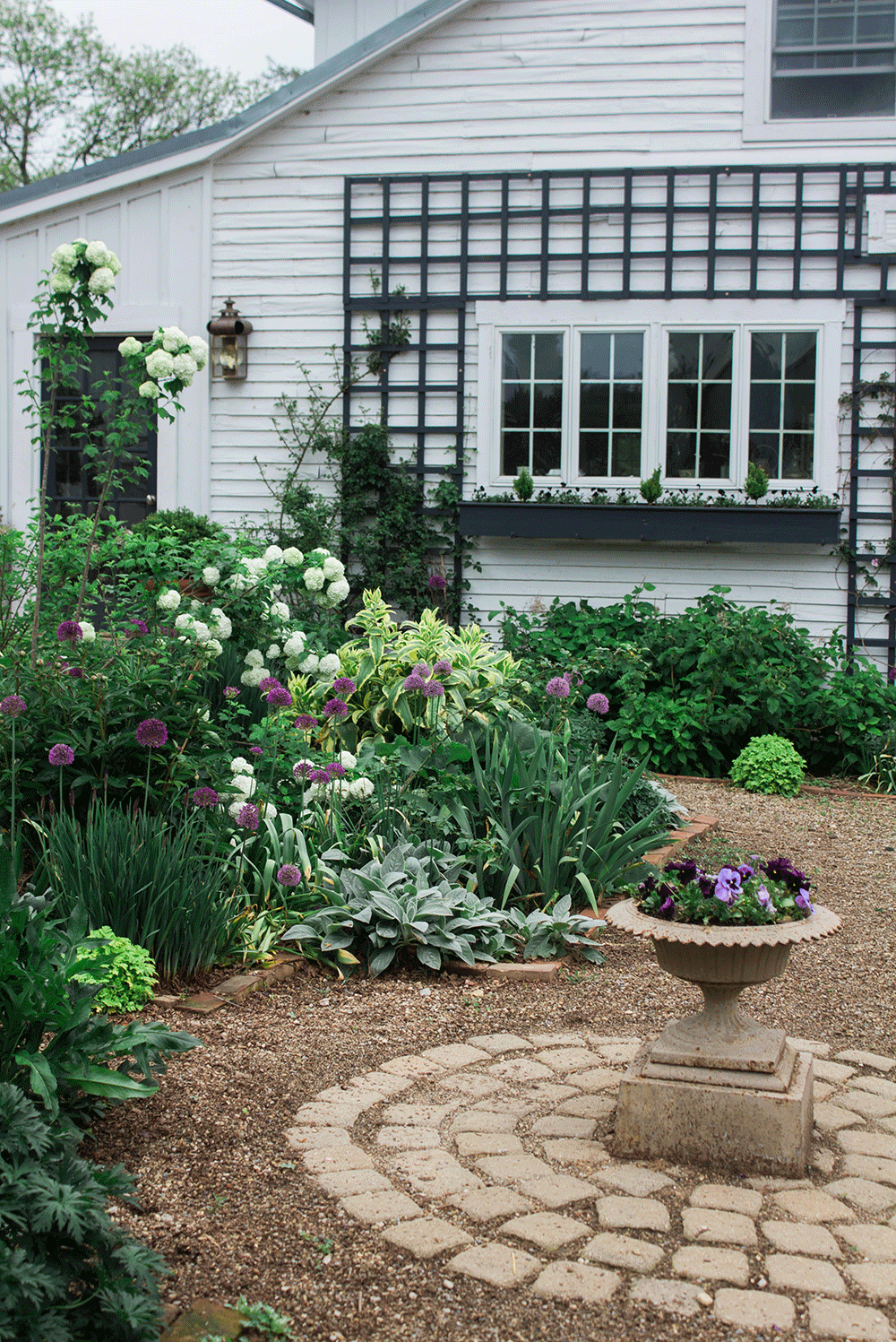 Koop leuke nieuwe planten en bloemen voor in je achtertuin en direct ziet je tuin er levendiger uit!