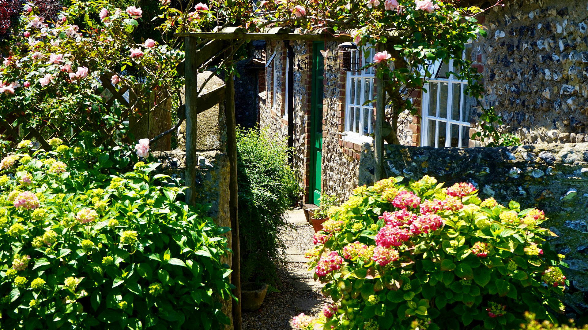 Gebruik onze tips om je tuin tegen een droge zomer te beschermen!