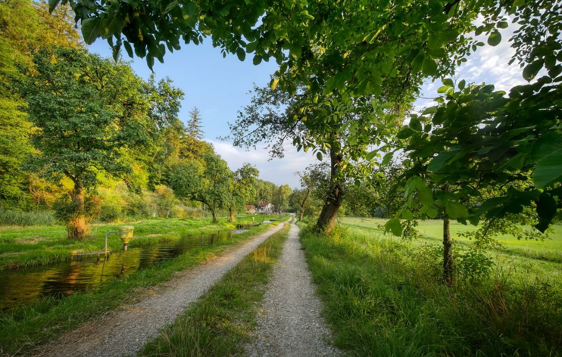 Halfverharding leent zich ook voor een oprit of tuinpad voor voertuigen. 