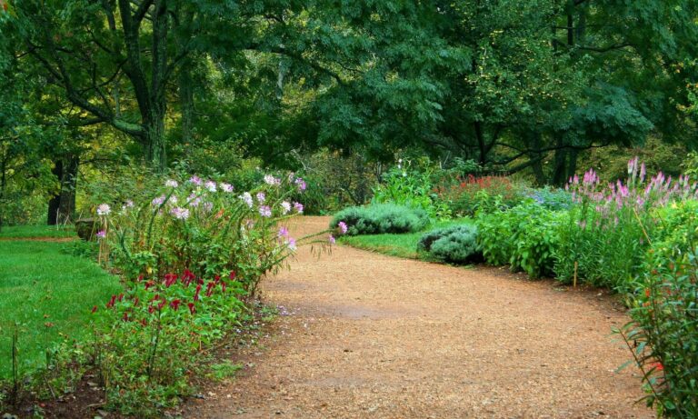 Dit zijn de voordelen van halfverharding in je tuin leggen Woonhome