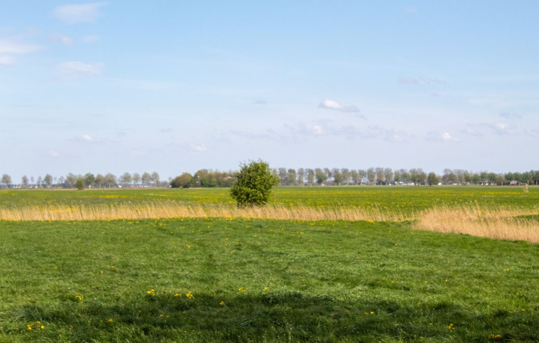 Je woont vlakbij het platteland als je in Groningen koopt.