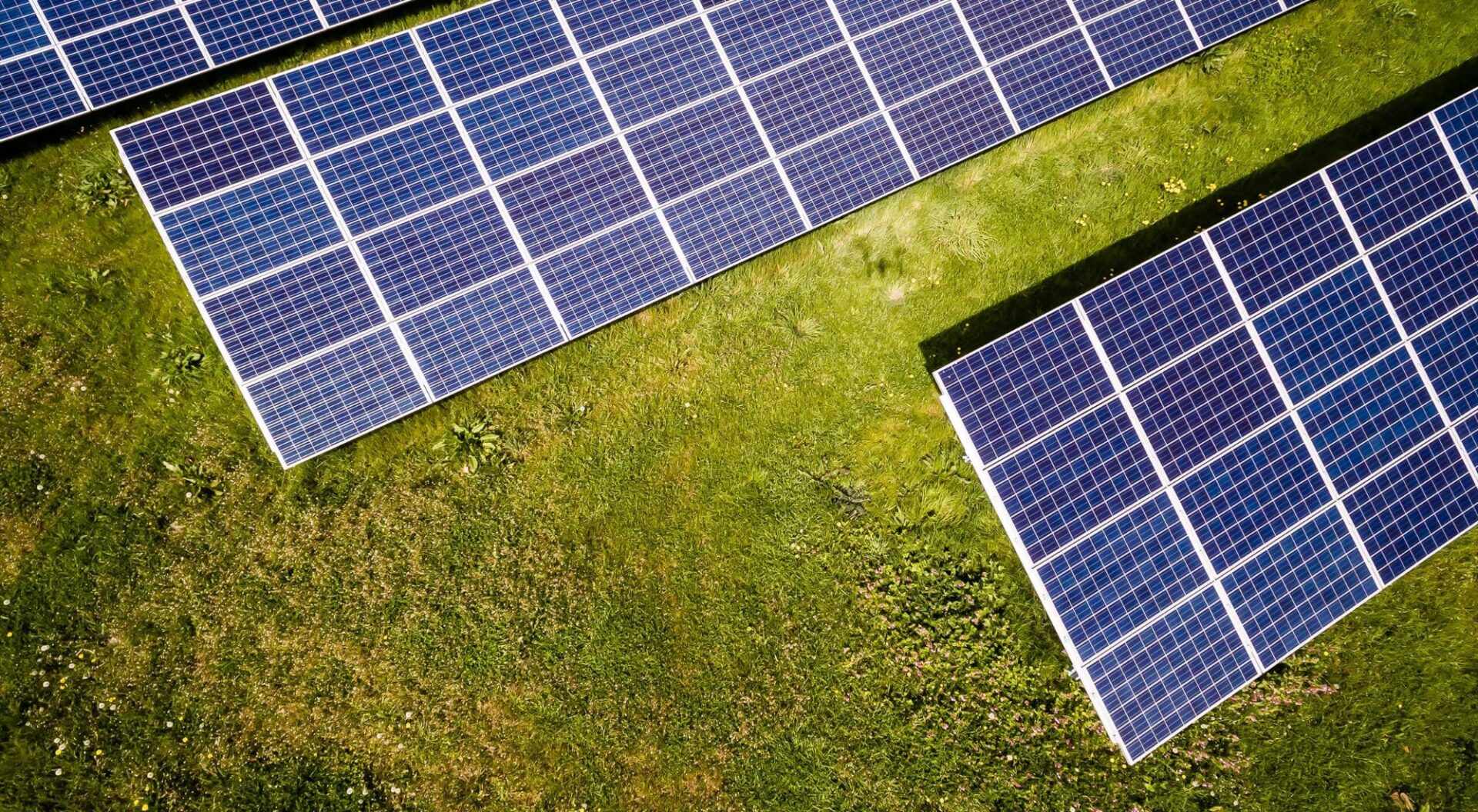 Vind jij duurzaamheid belangrijk? Tegenwoordig zijn er veel energieleveranciers die groene stroom bieden!