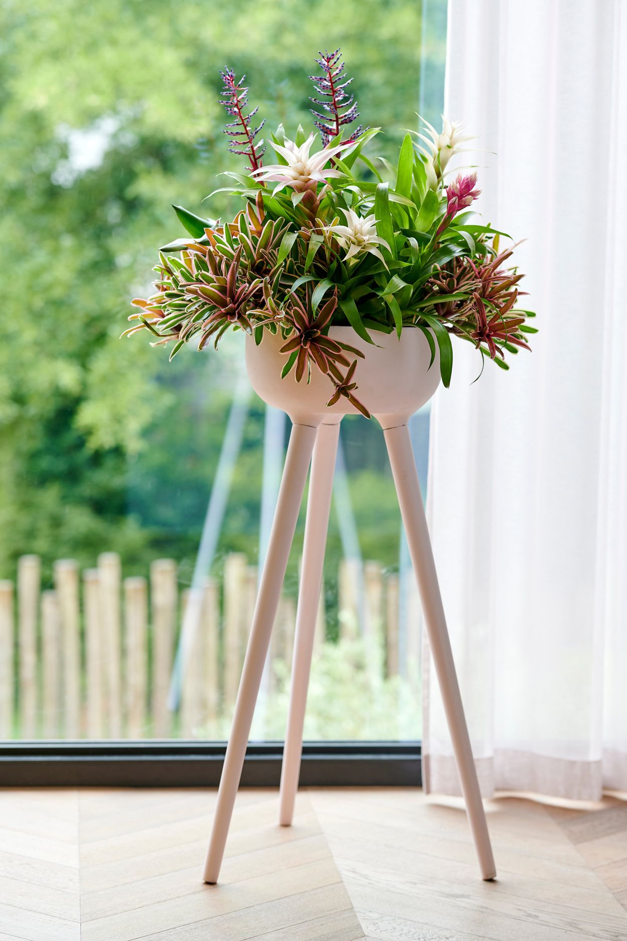 Bromelia's in je kamer mag je zien. Zet ze in een plantenstandaard of pot op pootjes om de binnenplant nog meer te laten opvallen.