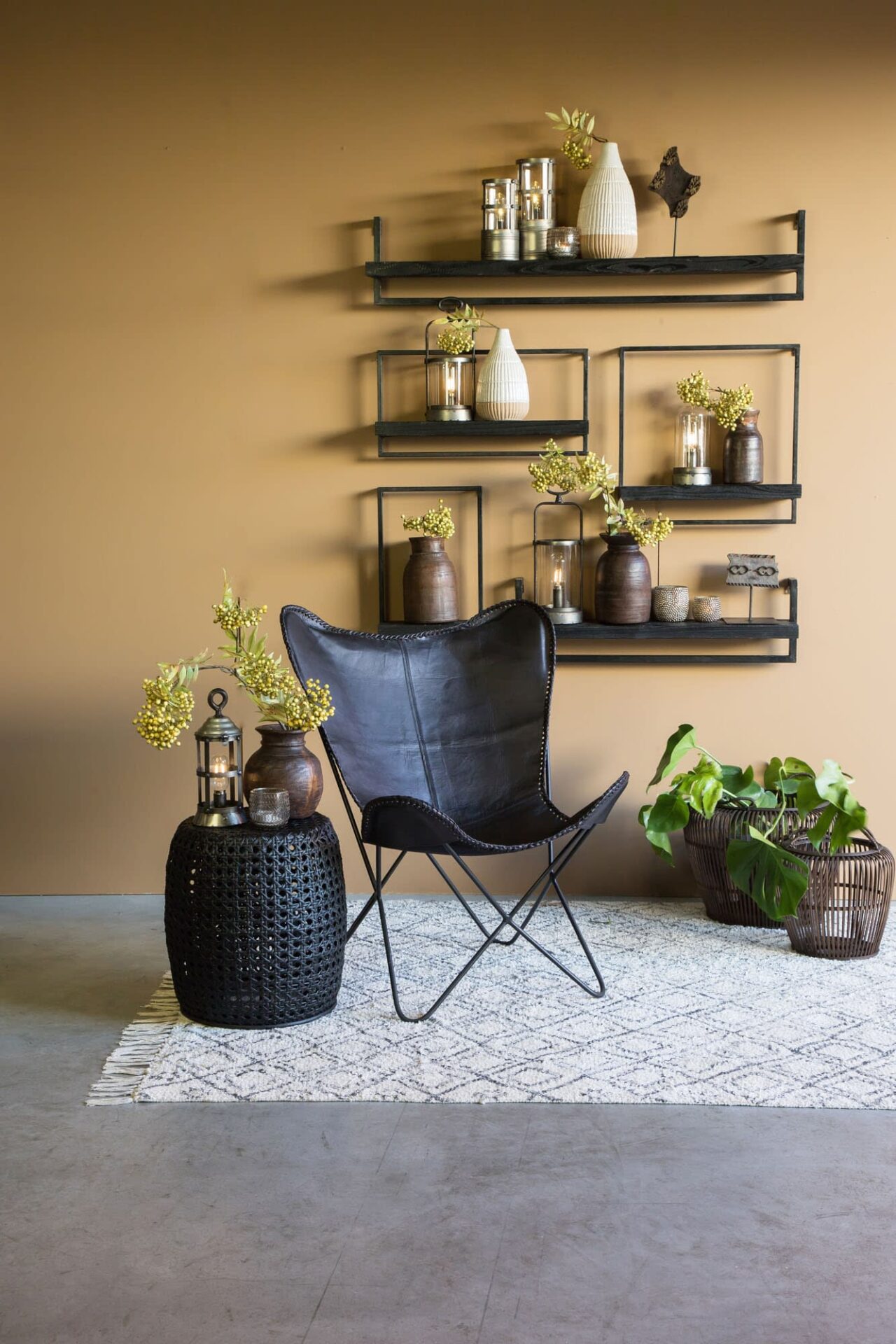 Planten in huis halen is altijd bevorderend voor de uitstraling van jouw woning. 