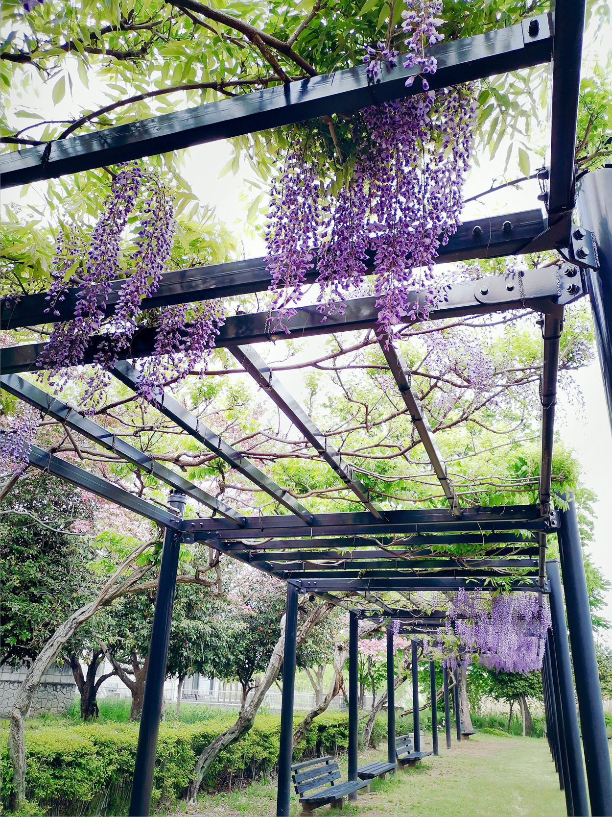 Pergola's zijn er in allerlei soorten en maten.