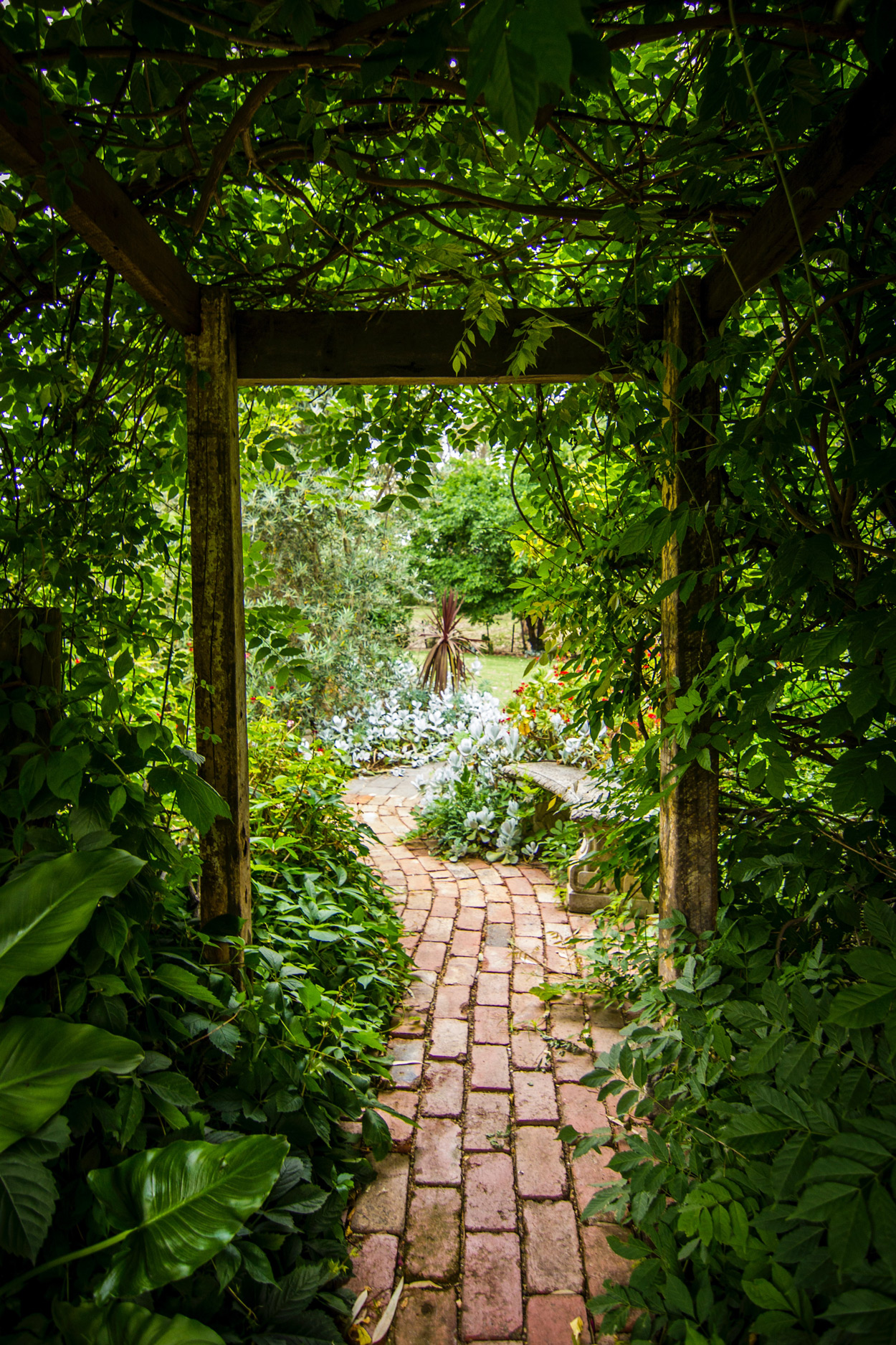 Pergola's zorgen voor zowel schaduw in de tuin als decoratie. 