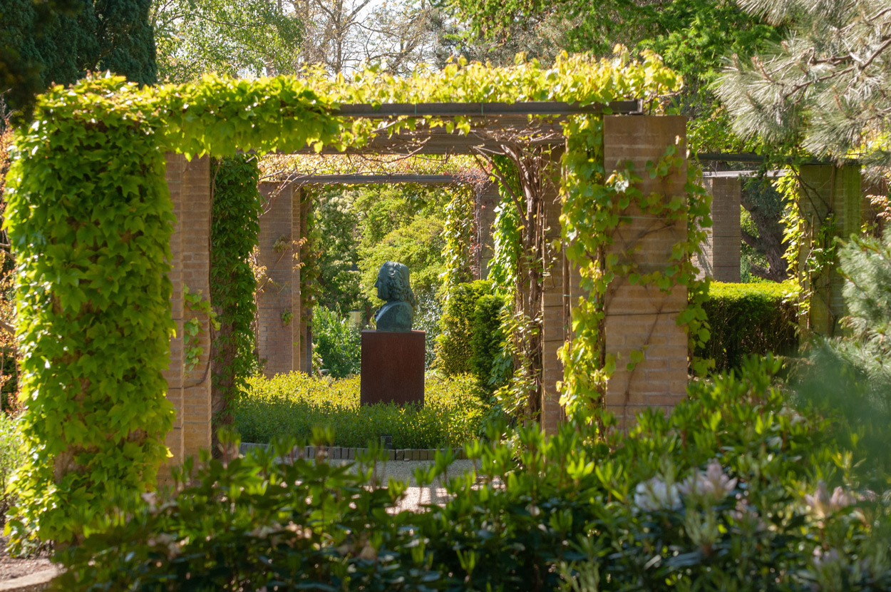 Pergola's hebben ook een decoratieve functie in de tuin.