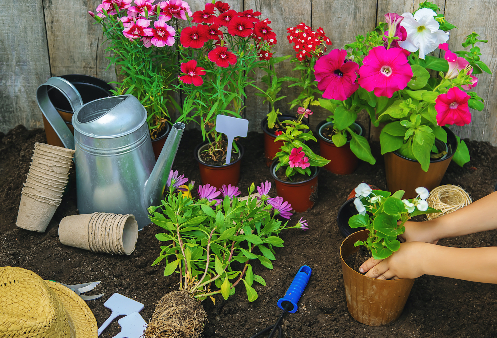 woonhome-planten-in-tuin-afkoeling-zomer-tuinen-