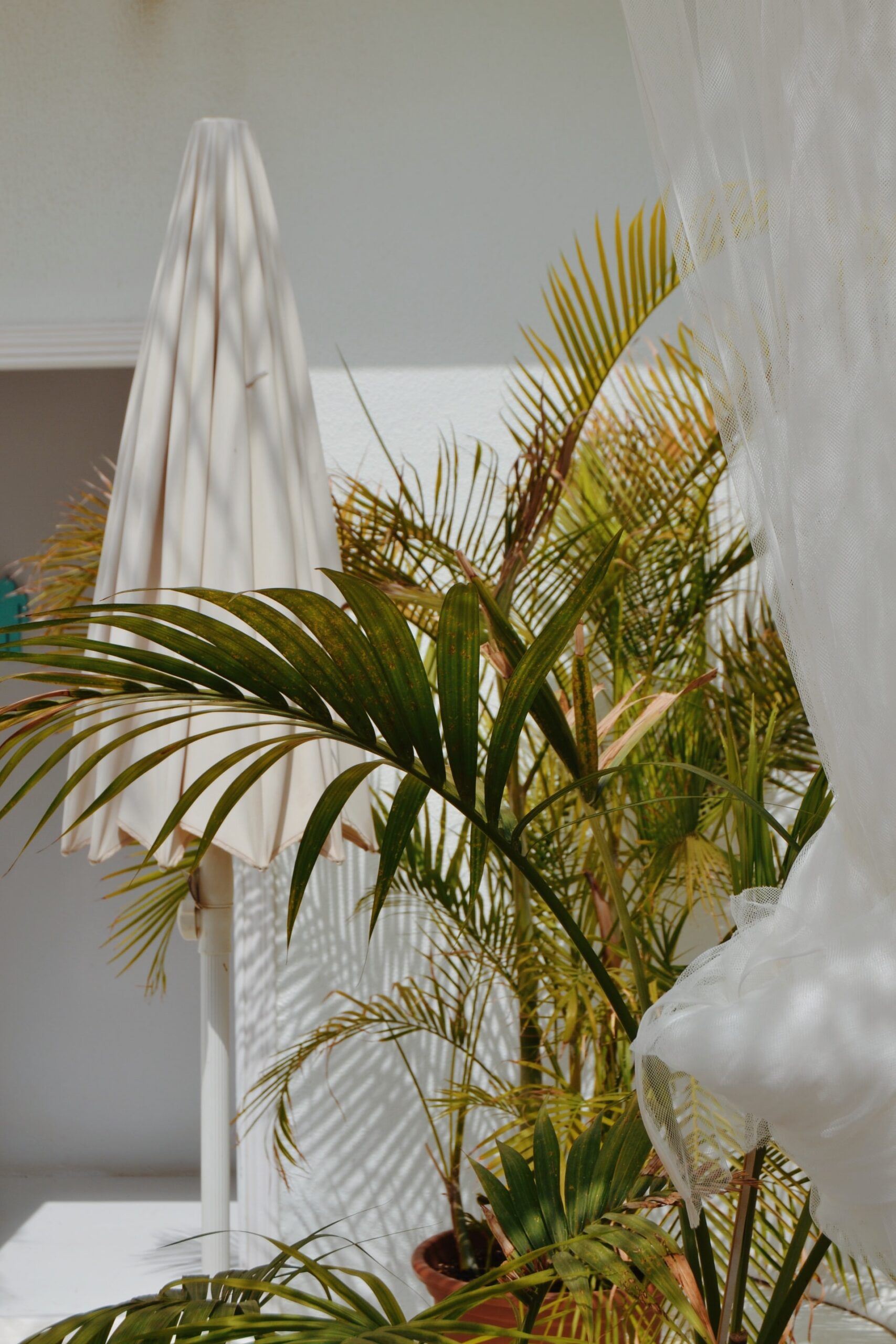 woonhome-witte-parasol-groene-plant-bohemian-woonstijl-ibiza-woonstijl-1