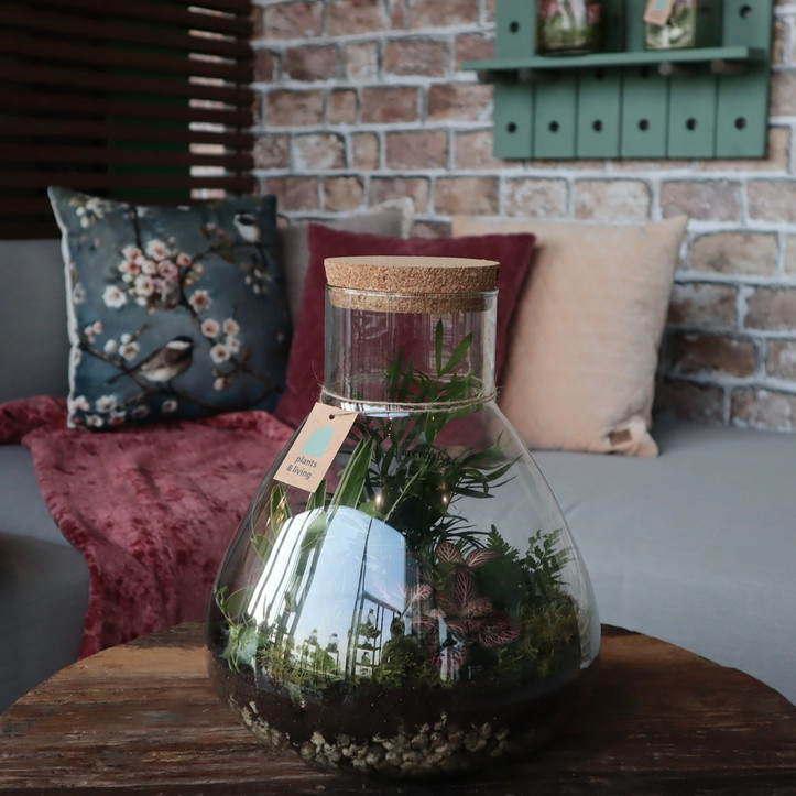 woonhome-planten-in-huis-plant-in-glazen-pot-terrarium-marcella-1