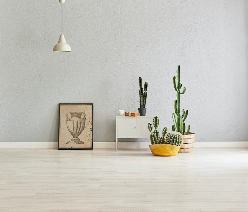 woonhome-laminaarvloer-laminaat-grijze-muur-lichte-kleuren-cactus-1