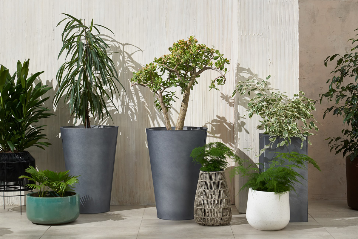 Deze twee hoge verzinkte plantenbakken in het grijs rijzen statig op en bieden jouw planten het podium in de tuin die ze verdienen. 