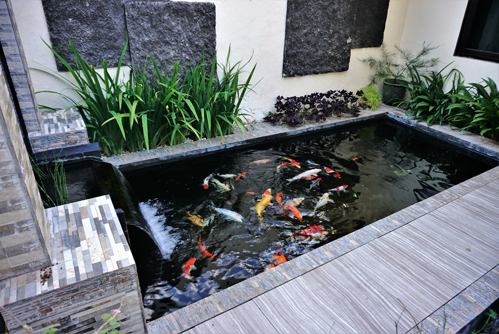 Een vijver in de tuin geeft een dynamische sfeer aan de tuin. Vooral als er vissen in zitten en er water stroomt.