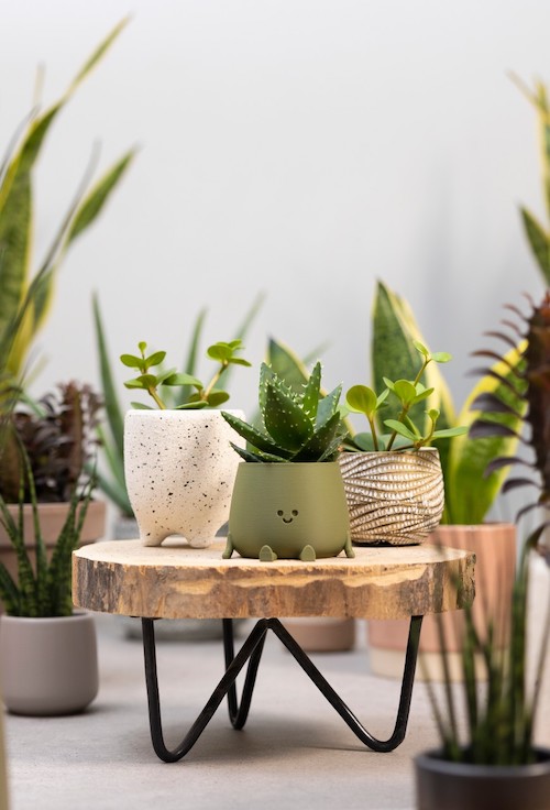 woonhome-mini-plantjes-interieur-inspiratie-Vetplantje