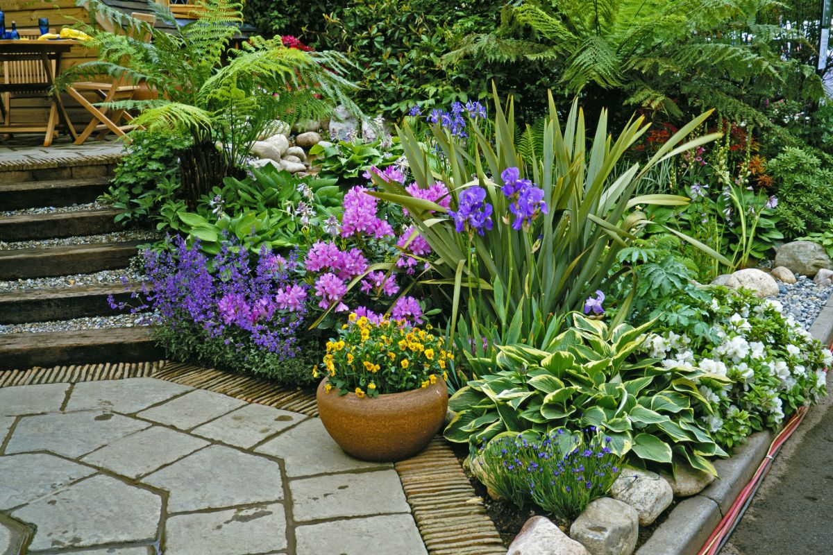 Geen ruimte om veel bloemen te planten? Een bloem in een plant is ook al heel fijn voor de natuur.