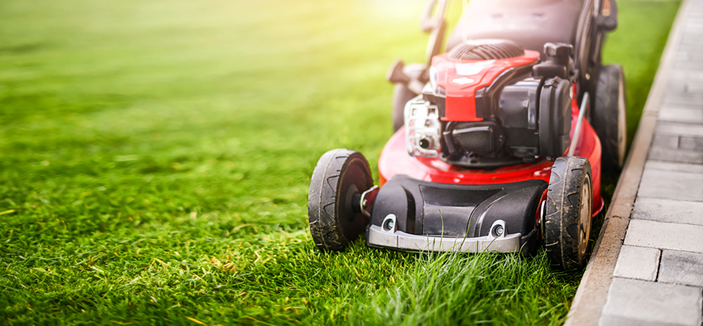 In de zomer kun je het gras het beste op 3,5 tot 4,5 centimeter hoog maaien. 