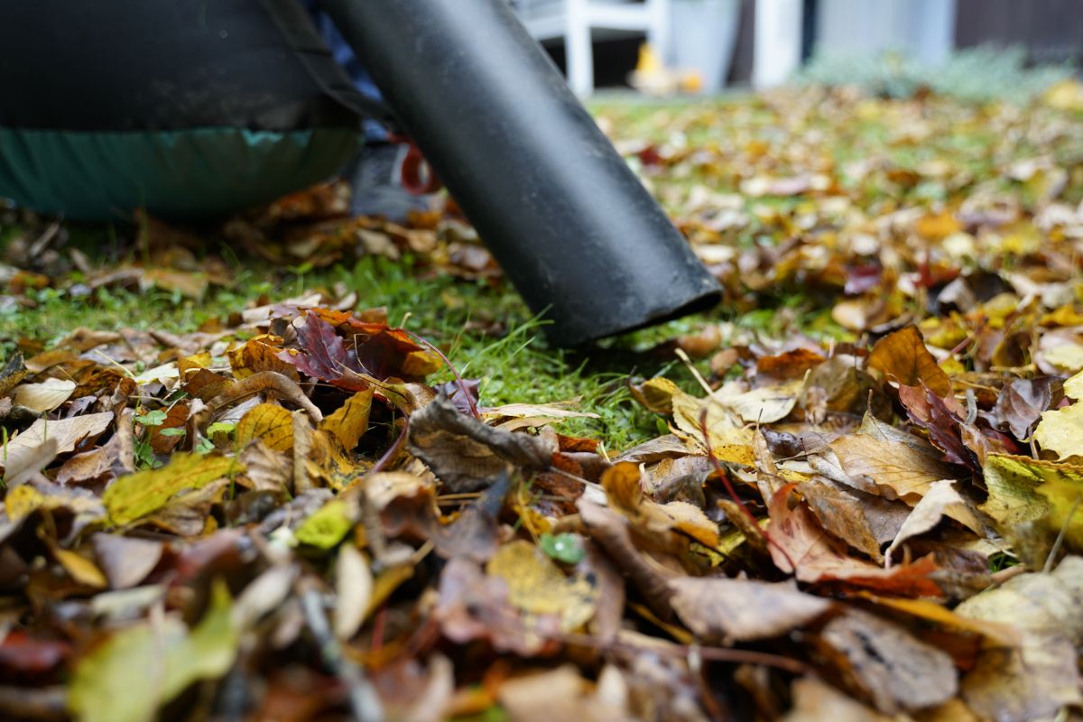 Bladeren en ander tuinvuil kunnen klem raken in je meubels: maak ze dus regelmatig schoon! 