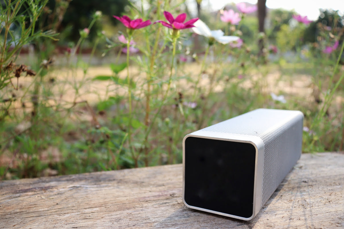 Een draadloze speaker neem je overal mee naartoe, dus ook de tuin in.