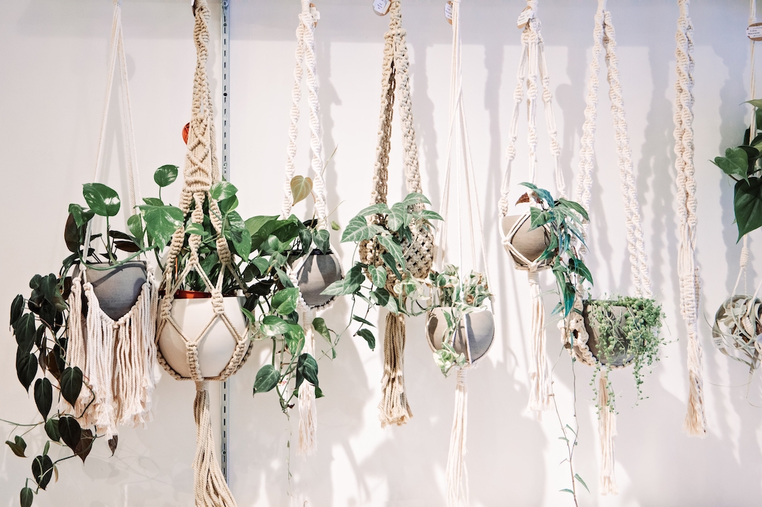 woonhome-hangplanten-planten-die-hangen-groen-in-huis-1