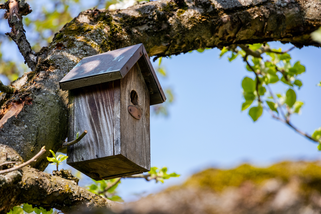 woonhome-vogelhuis-in-tuin-houten-vogelhuisje-1.jpg