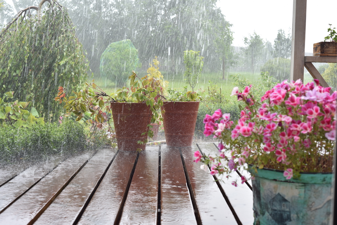 woonhome-verzekeren-stormschade-regen-in-de-bloemen-regen-in-de-tuin-1