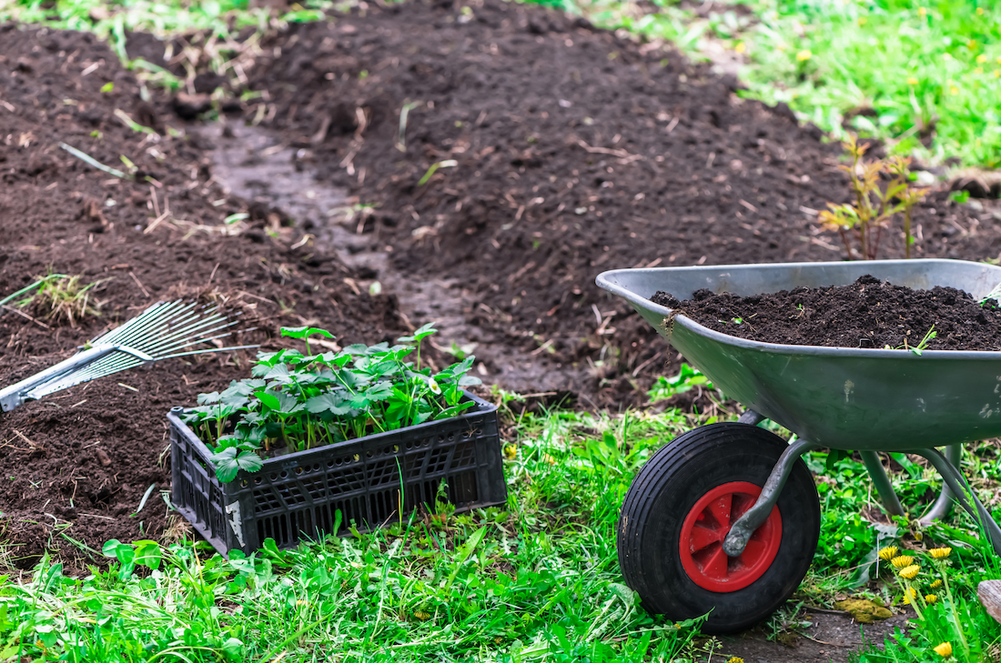 woonhome-aanleggen-tuin-stenen-leggen-stratenmaker-tuinaanleg-planten-aanleggen-2