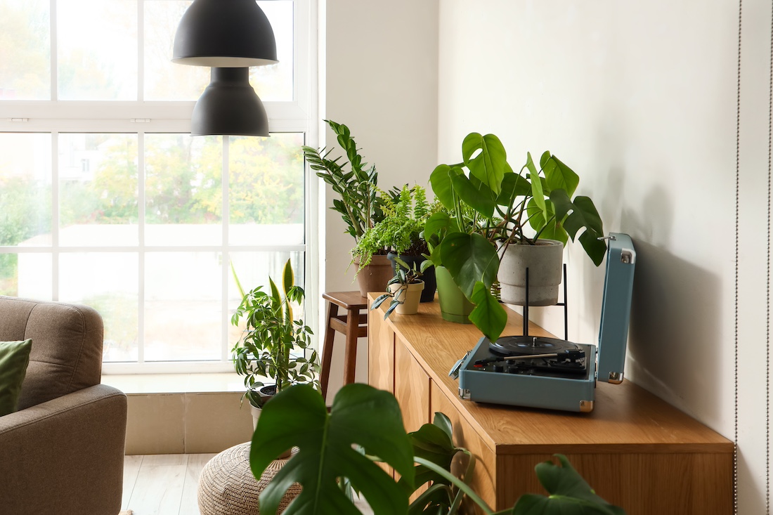 woonhome-muziek-in-huis-platenspeler-planten-interieur-inspiratie-1