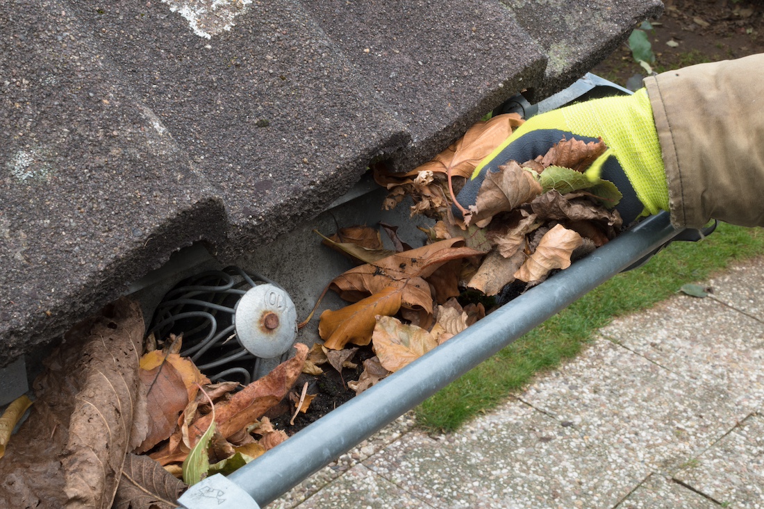 schoonmaken-bladvrij-maken-bladeren-verwijderen-in-de-dakgoot-1.jpg