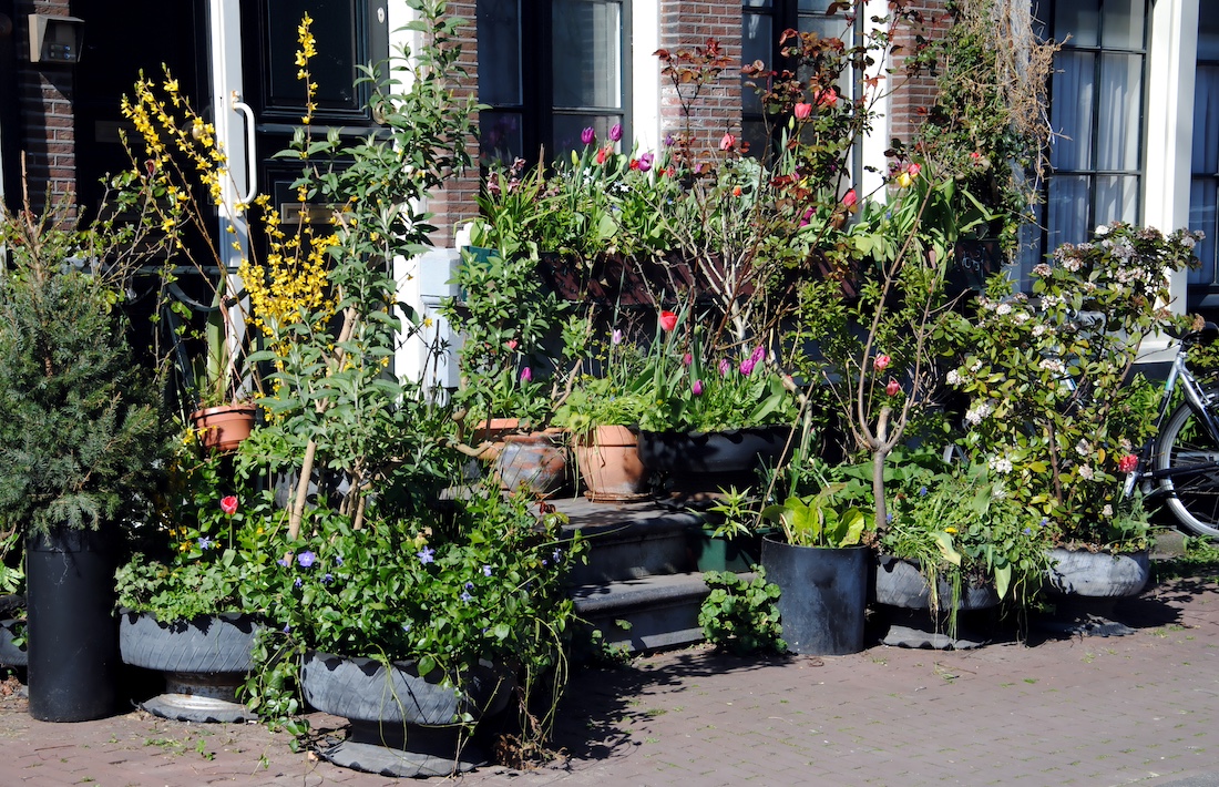 woonhome-planten-voordeur-voortuin-amterdam-groen-planten-voorkant-huis-1