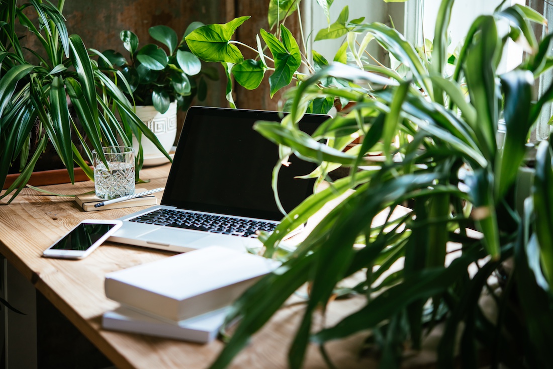 woonhome-thuiskantoor-kantoor-huis-bureau-laptop-met-veel-planten-groen-home-office-1